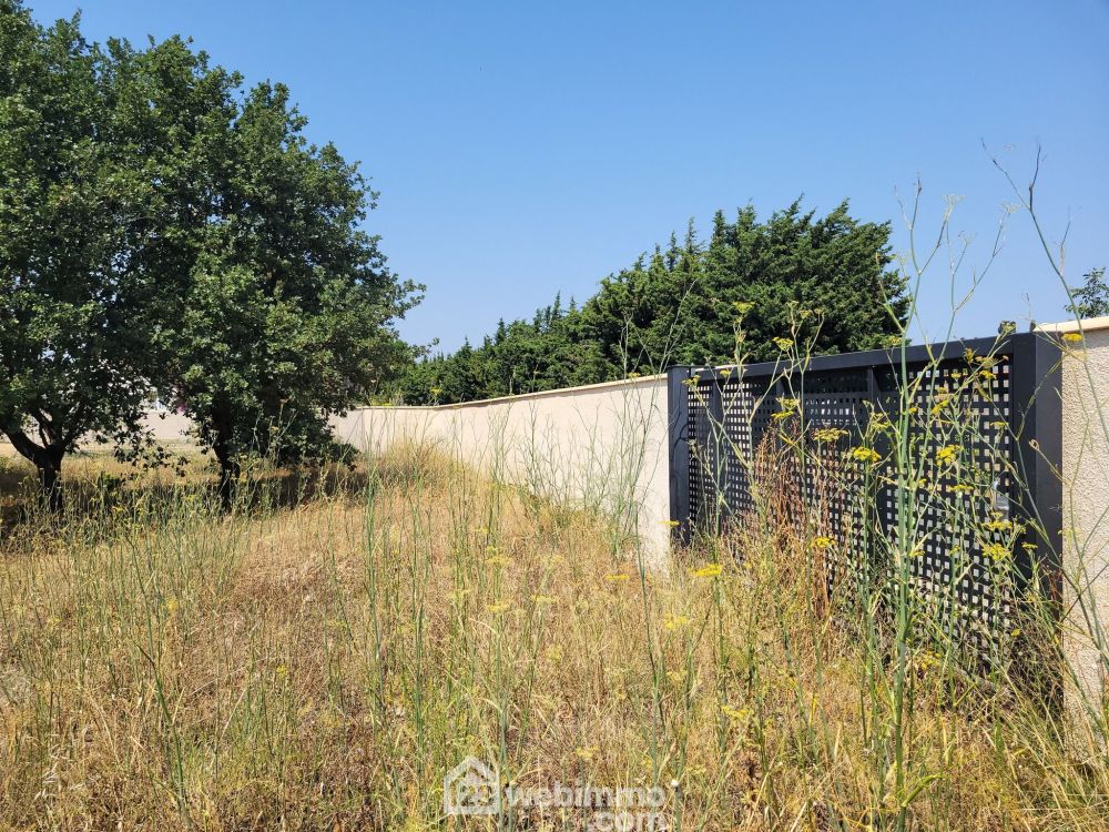 Photo 3 - Perpignan 66000 à Perpignan