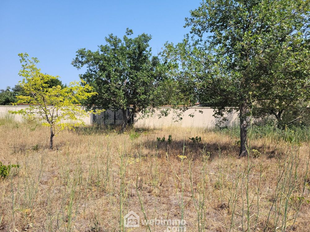 Photo 4 - Perpignan 66000 à Perpignan