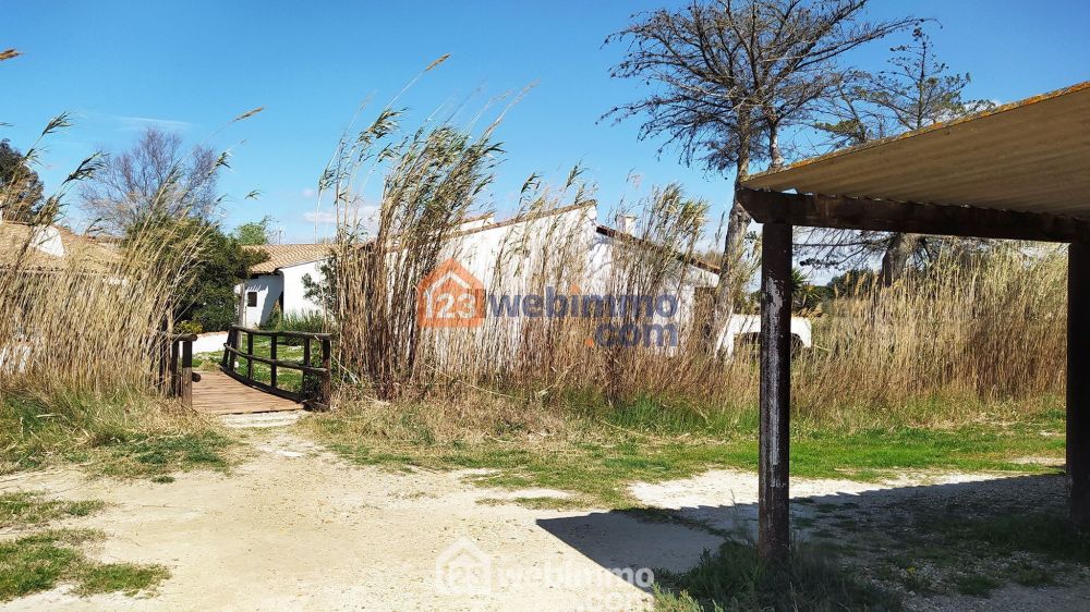 Photo 3 - Saintes-Maries-de-la-Mer 13460 à Saintes-Maries-de-la-Mer