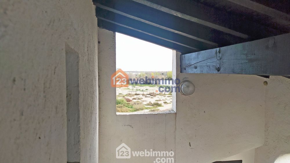 Photo 17 - Saintes-Maries-de-la-Mer 13460 à Saintes-Maries-de-la-Mer