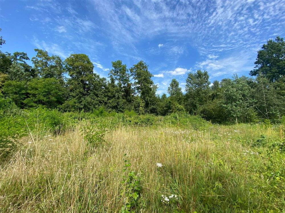 Photo 3 - Montaigu 02820 à Montaigu