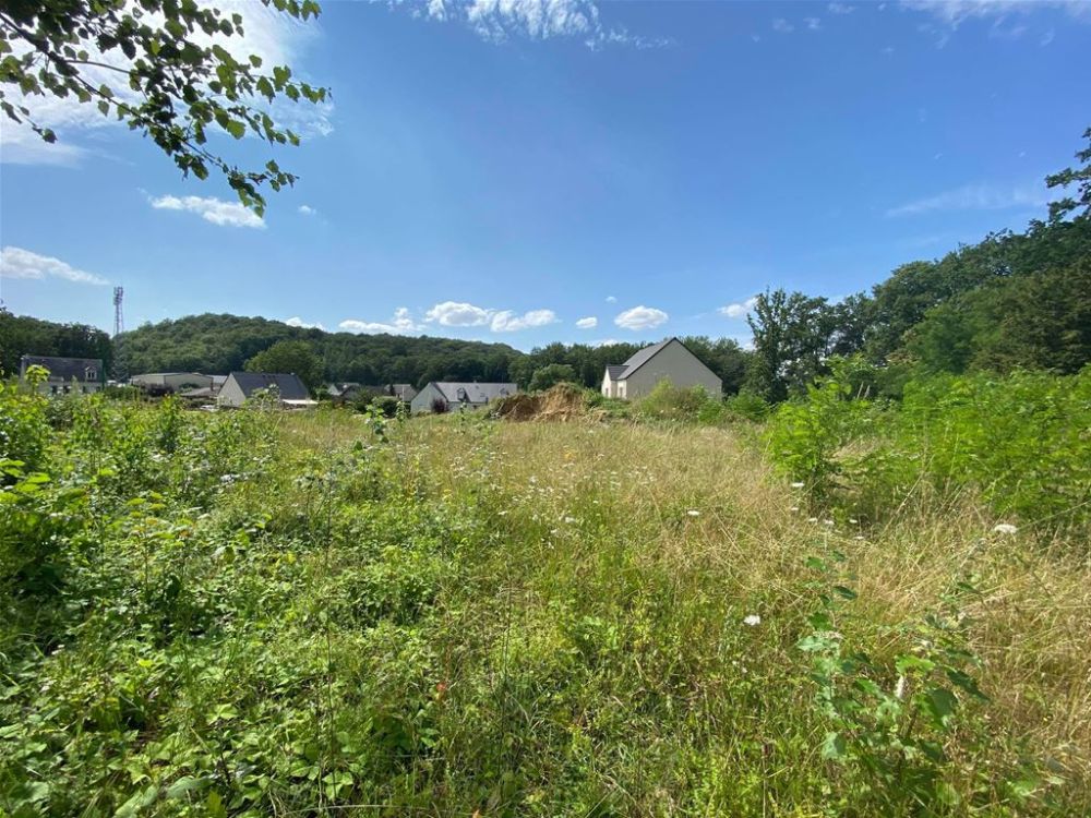 Photo 4 - Montaigu 02820 à Montaigu