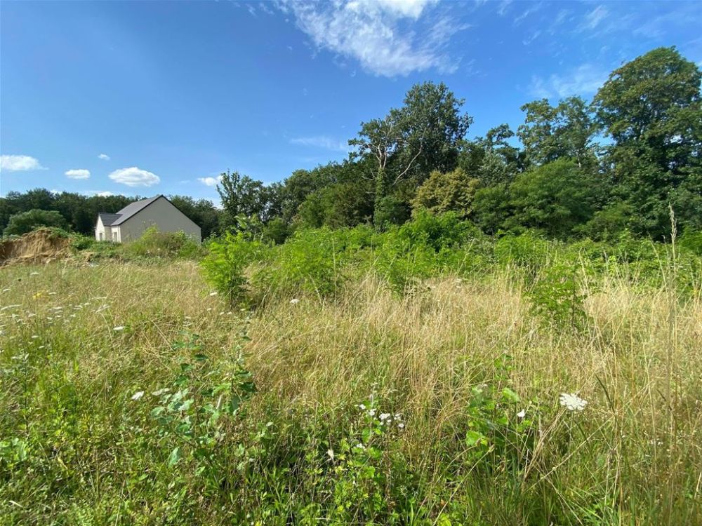 Photo 5 - Montaigu 02820 à Montaigu