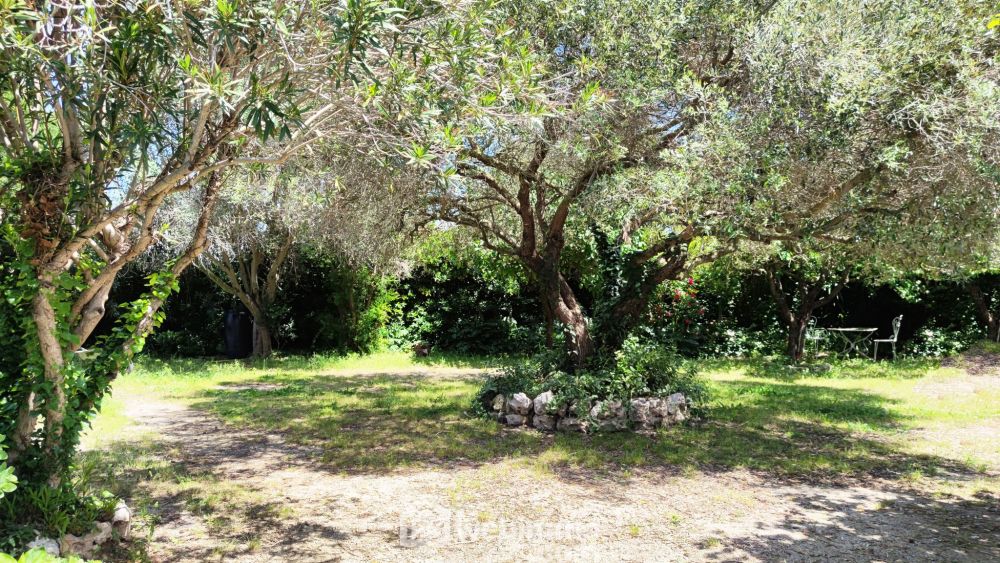 Photo 2 - Saintes-Maries-de-la-Mer 13460 à Saintes-Maries-de-la-Mer