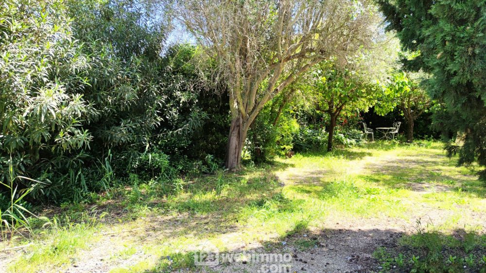 Photo 5 - Saintes-Maries-de-la-Mer 13460 à Saintes-Maries-de-la-Mer