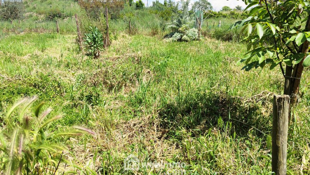 Photo 6 - Saintes-Maries-de-la-Mer 13460 à Saintes-Maries-de-la-Mer