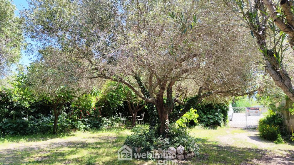 Photo 7 - Saintes-Maries-de-la-Mer 13460 à Saintes-Maries-de-la-Mer