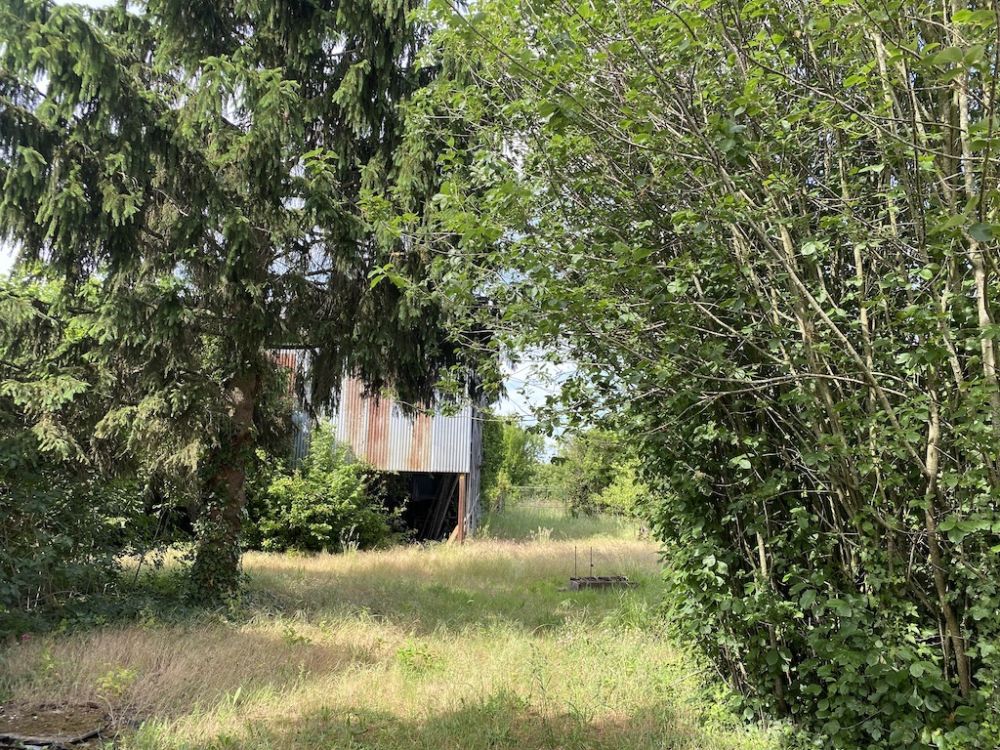 Photo 13 - Mazé-Milon 49630 à Mazé-Milon