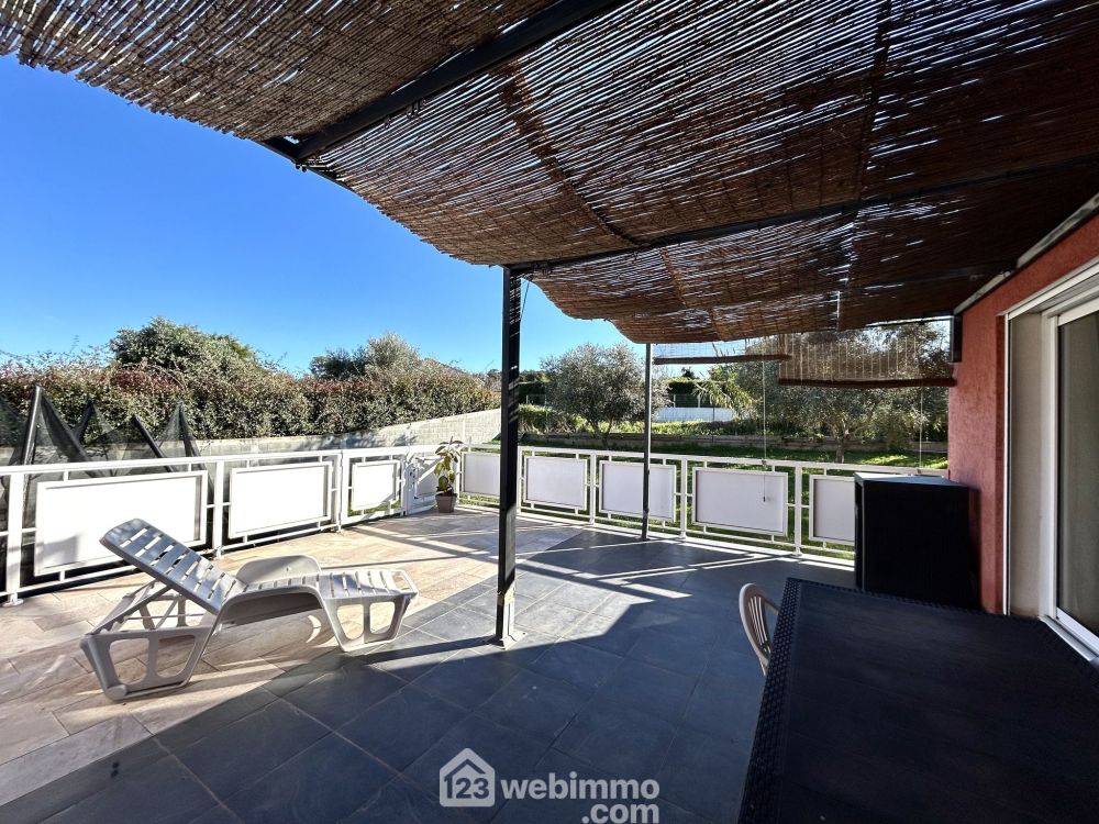 Photo 10 - Talasani 20230 à Talasani