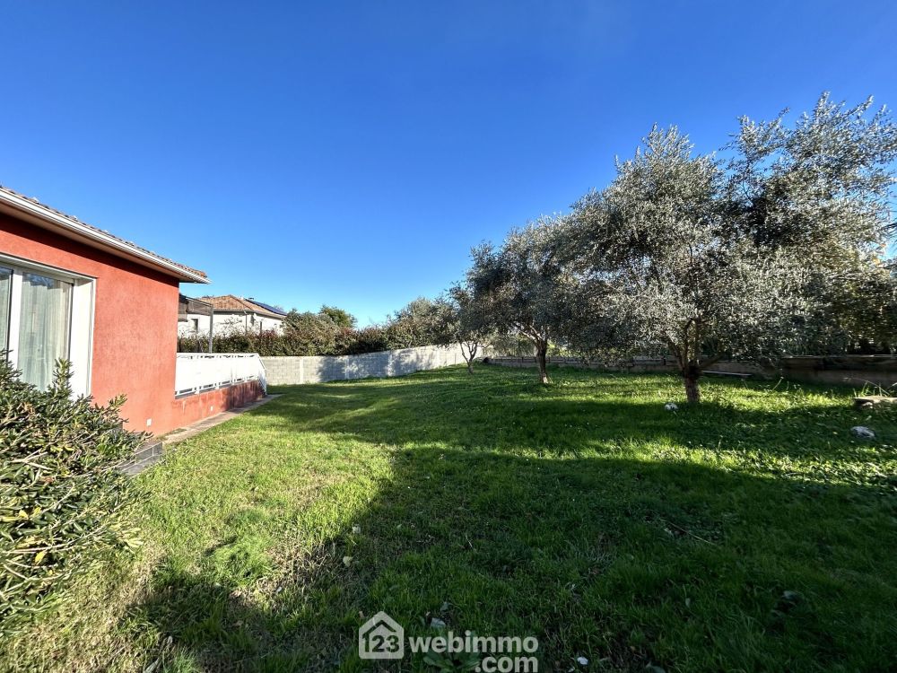 Photo 14 - Talasani 20230 à Talasani