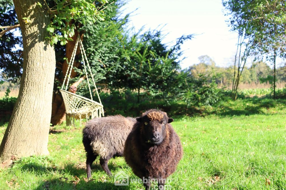 Photo 17 - Plouaret 22420 à Plouaret