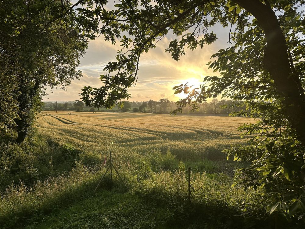 Photo 35 - Plouaret 22420 à Plouaret