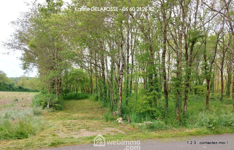 Photo 2 - Rives de l'Yon 85310 à Rives de l'Yon