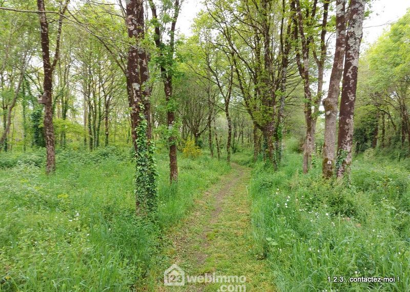 Photo 5 - Rives de l'Yon 85310 à Rives de l'Yon