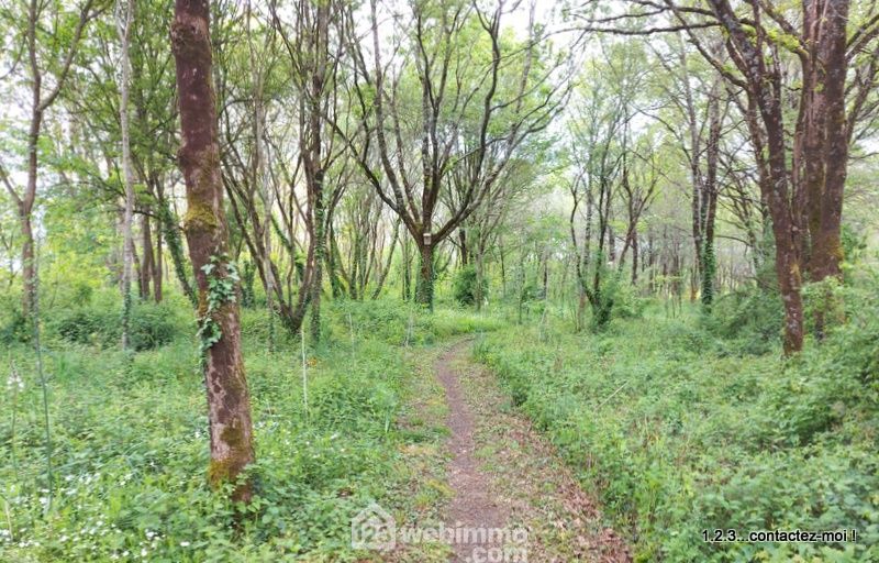 Photo 3 - Rives de l'Yon 85310 à Rives de l'Yon