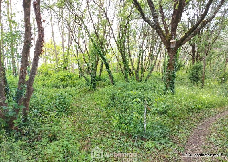 Photo 4 - Rives de l'Yon 85310 à Rives de l'Yon