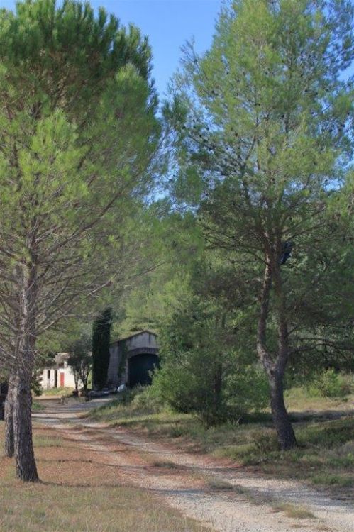 Photo 24 - teyran 34820 à teyran