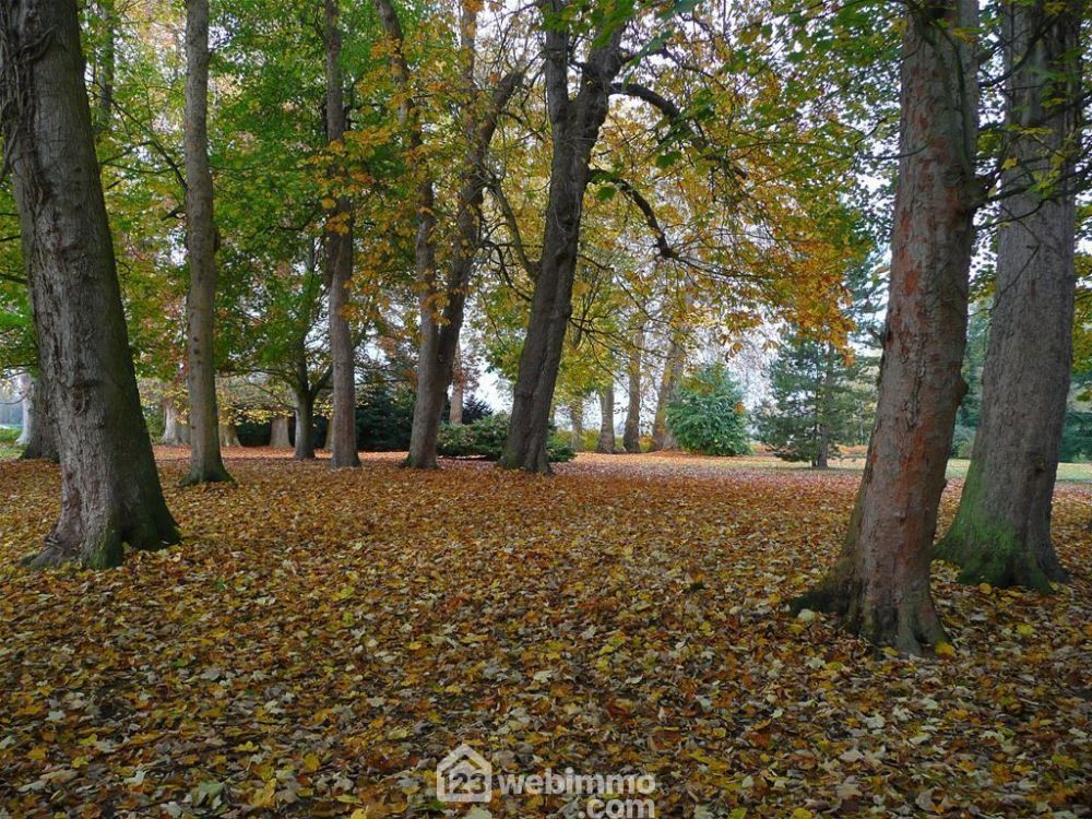 Photo 53 - Rouen 76000 à Rouen