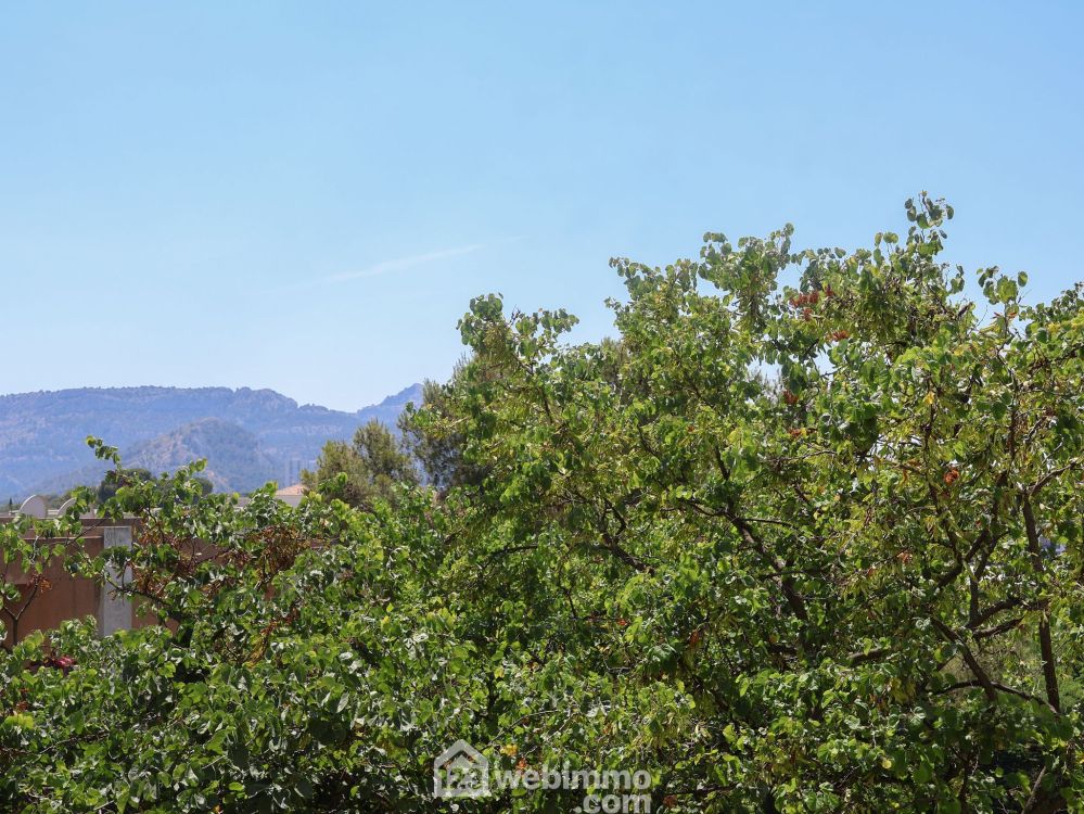 Photo 14 - Marseille 13009 à Marseille