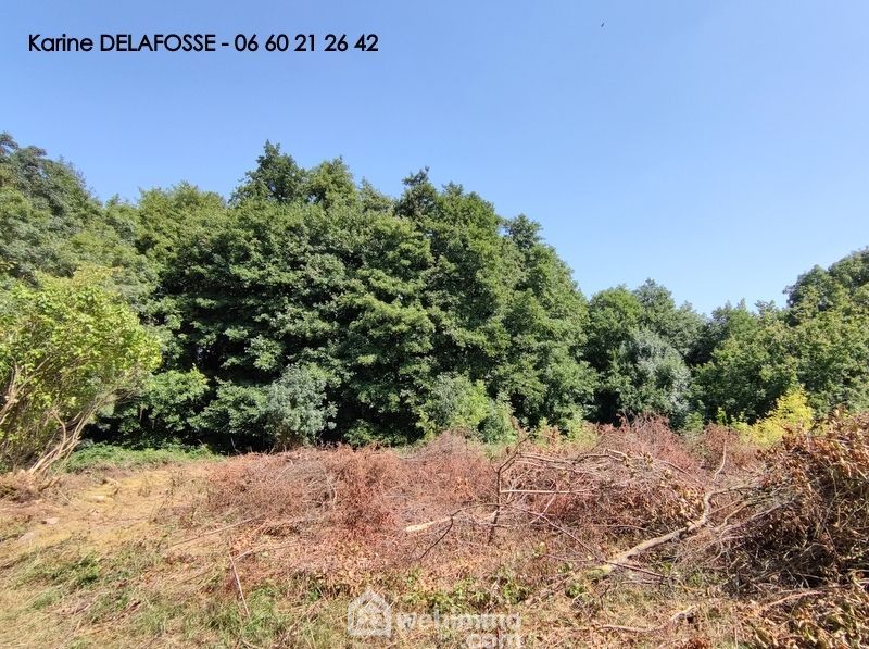 Photo 3 - ROSNAY 85320 à ROSNAY