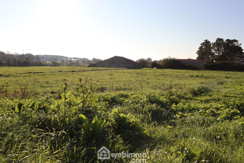 Photo 4 - Saint-Vincent-sur-Jard 85520 à Saint-Vincent-sur-Jard