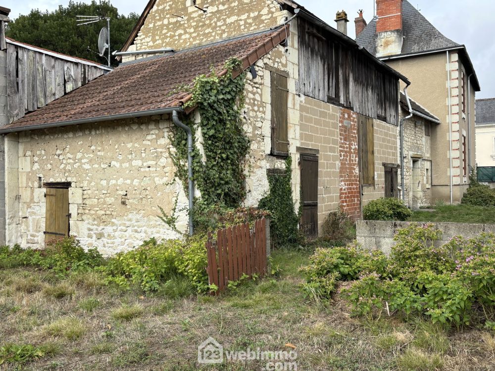 Photo 34 - Ingrandes 86220 à Ingrandes