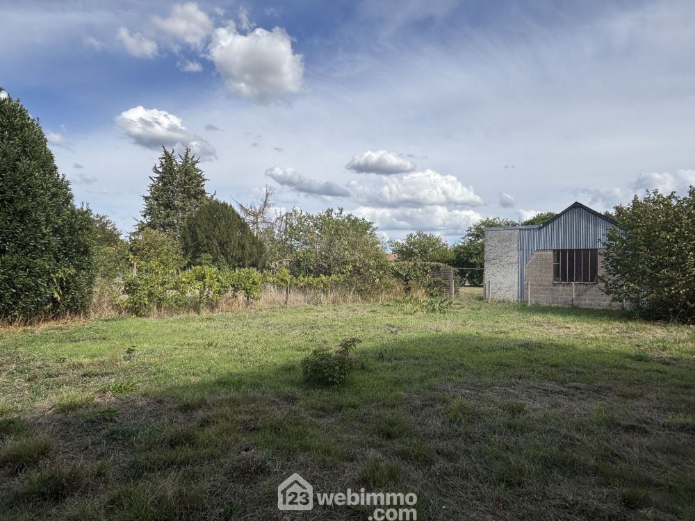 Photo 42 - Ingrandes 86220 à Ingrandes