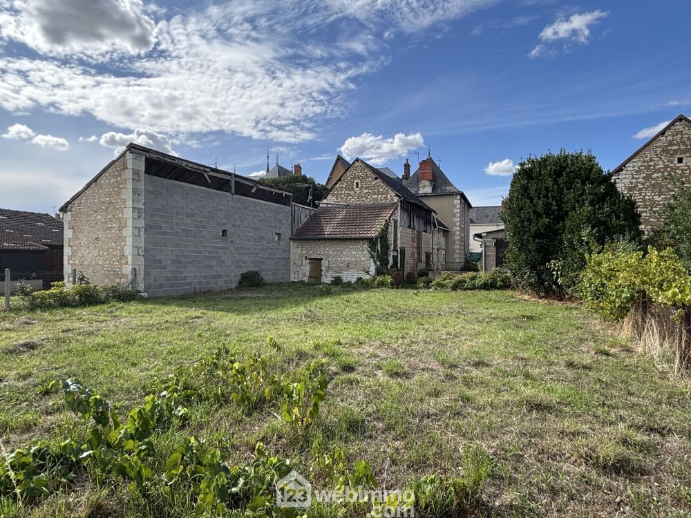 Photo 41 - Ingrandes 86220 à Ingrandes