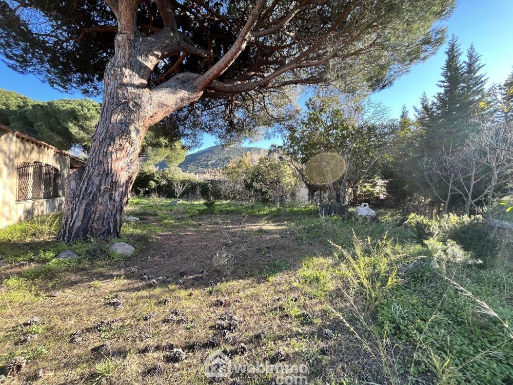 Photo 8 - Calvi 20260 à Calvi