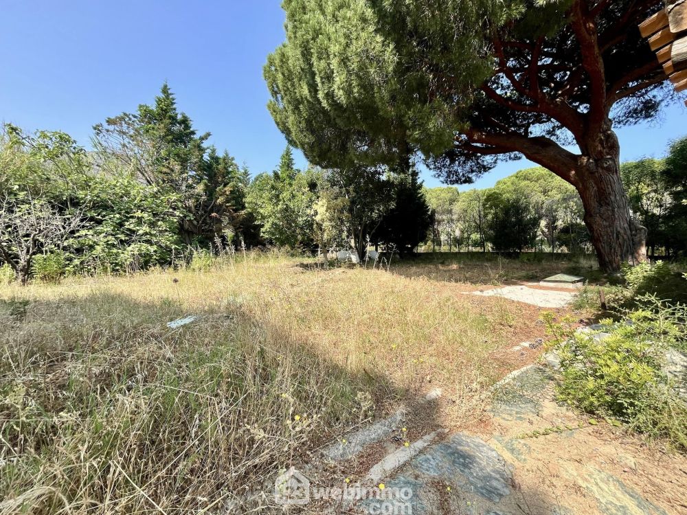 Photo 19 - Calvi 20260 à Calvi