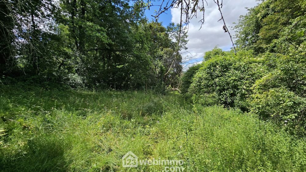 Photo 5 - Dannemois 91490 à Dannemois