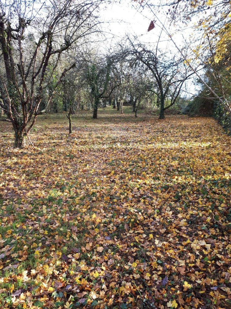 Photo 7 - Dannemois 91490 à Dannemois