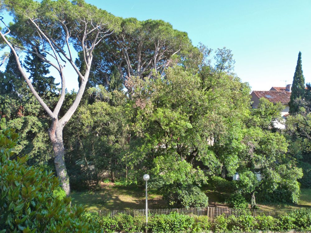 Photo 6 - marseille 13008 à marseille