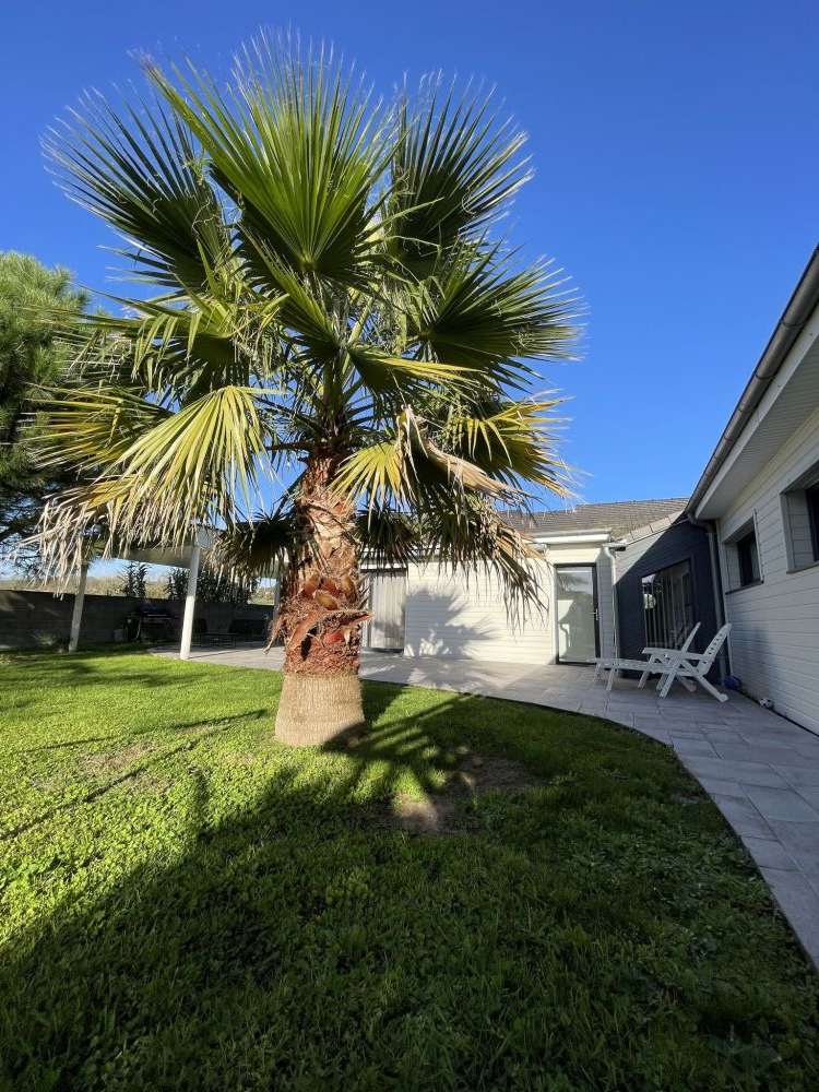 Photo 22 - NAINTRE 86530 à NAINTRE