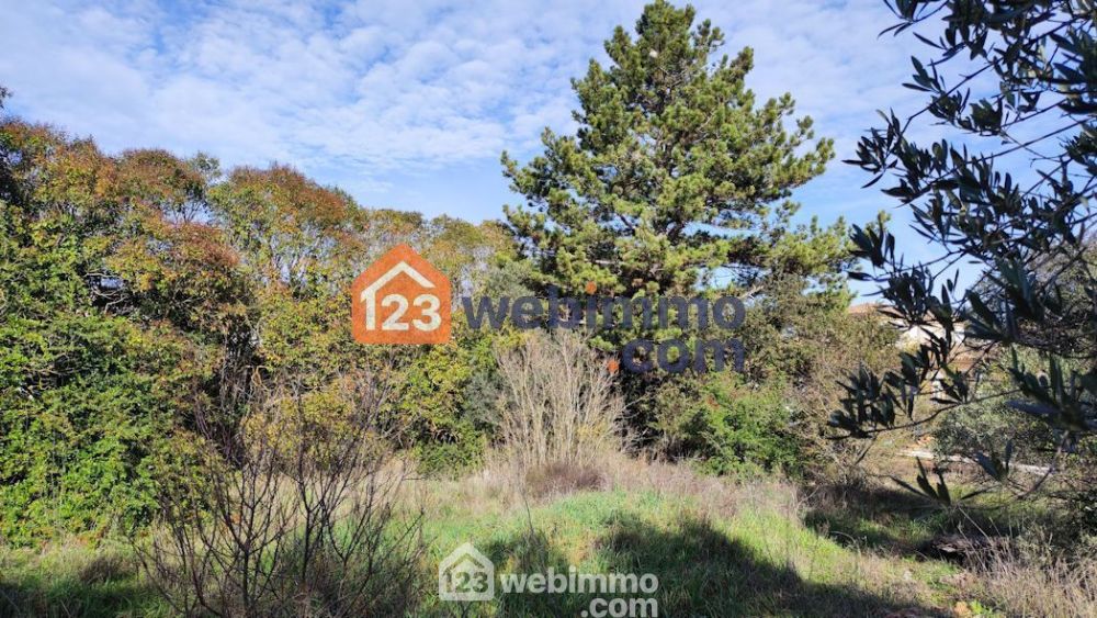 Photo 4 - Salon-de-Provence 13300 à Salon-de-Provence