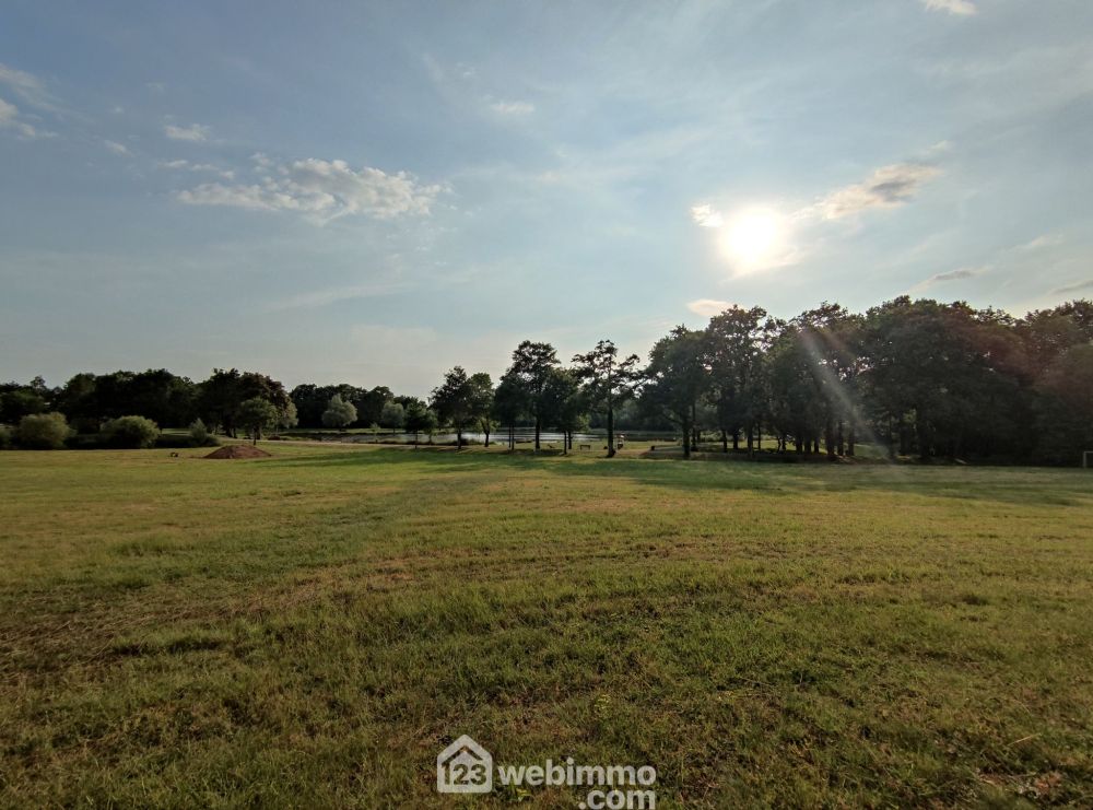 Photo 4 - Martinet 85150 à Martinet