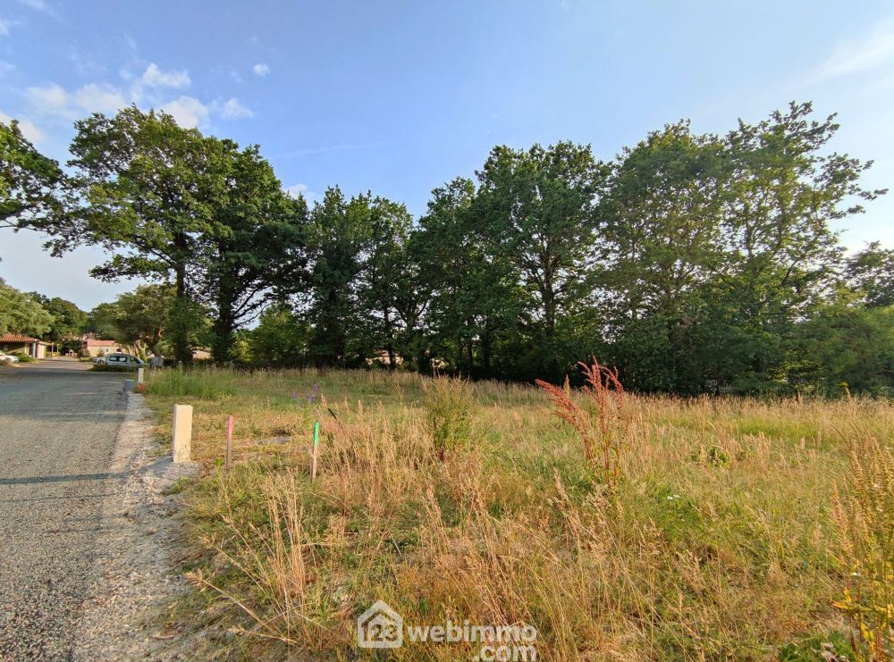 Photo 3 - Martinet 85150 à Martinet