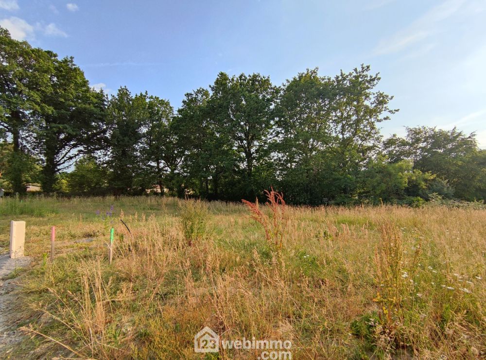 Photo 2 - Martinet 85150 à Martinet