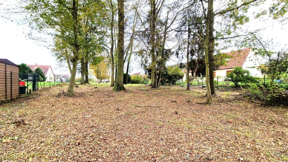 Photo 3 - Mons-en-Laonnois 02000 à Mons-en-Laonnois