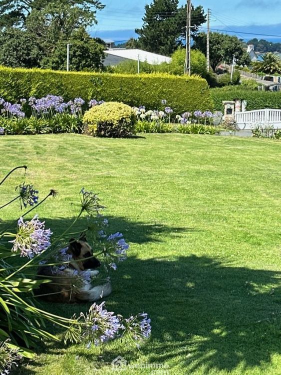 Photo 22 - Penvénan 22710 à Penvénan