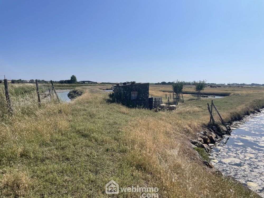 Photo 1 - Jard-sur-Mer 85520 à Jard-sur-Mer