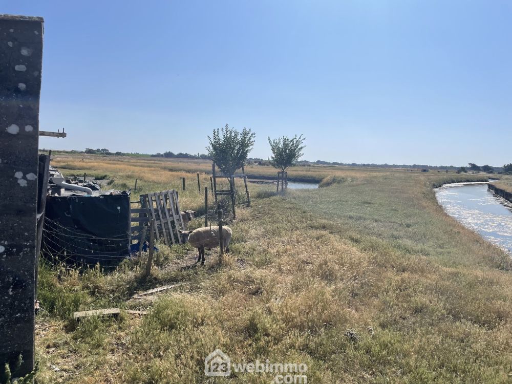 Photo 6 - Jard-sur-Mer 85520 à Jard-sur-Mer