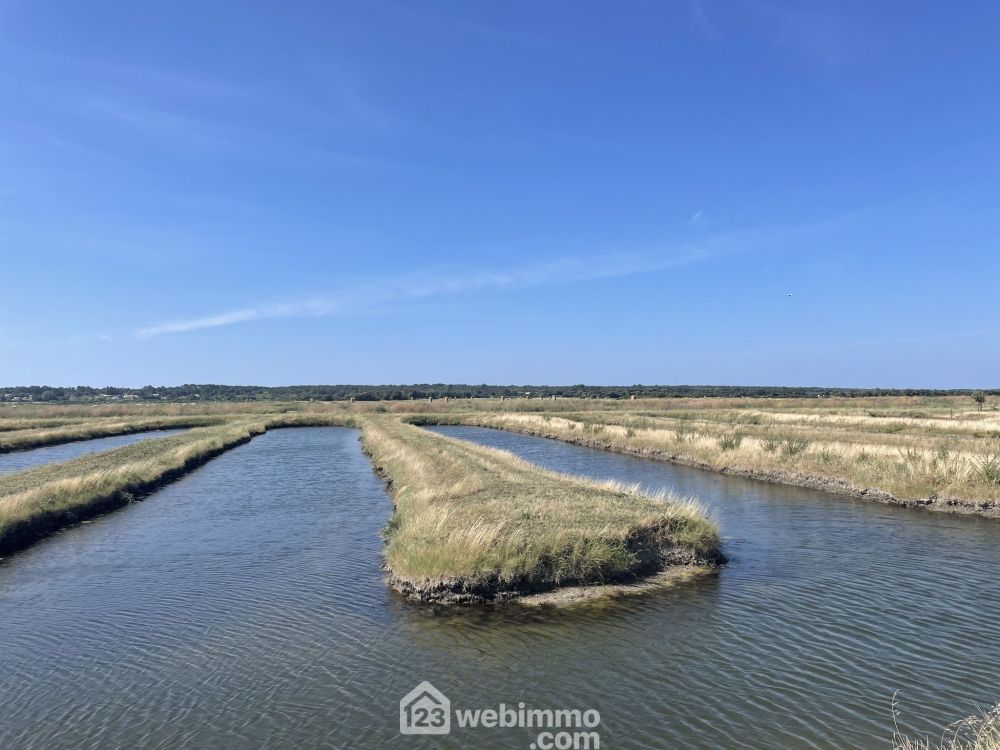 Photo 3 - Jard-sur-Mer 85520 à Jard-sur-Mer