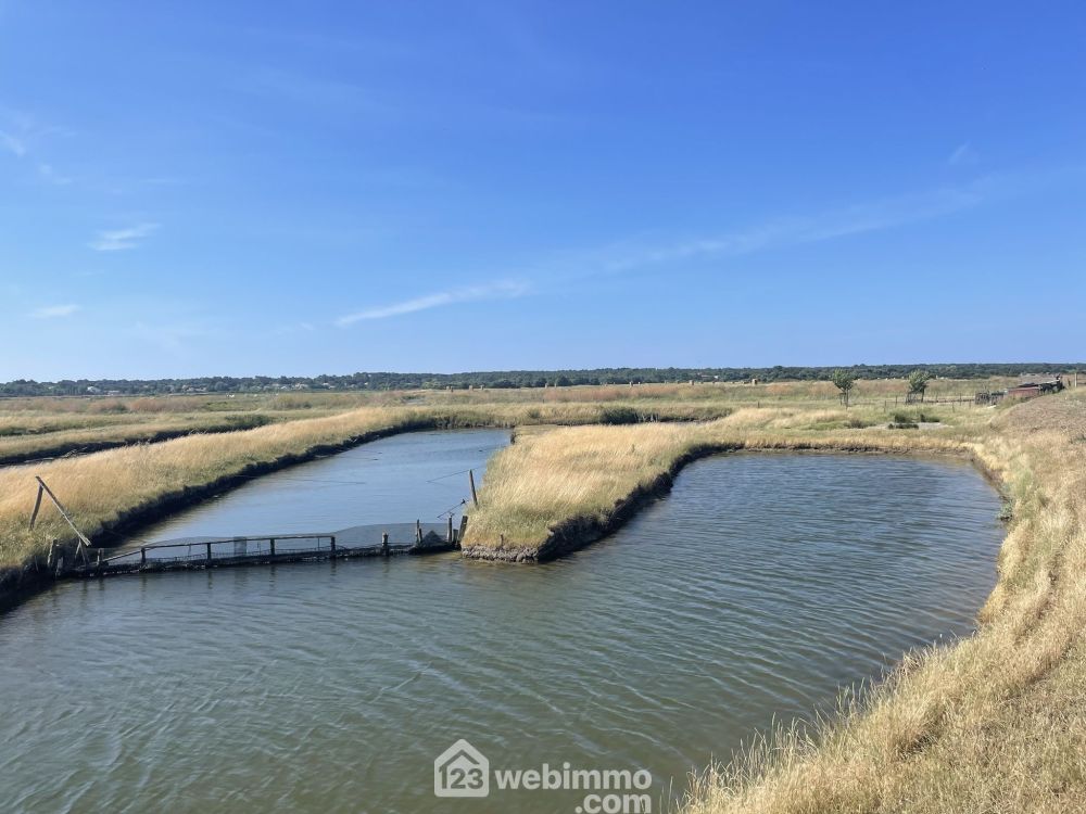 Photo 4 - Jard-sur-Mer 85520 à Jard-sur-Mer