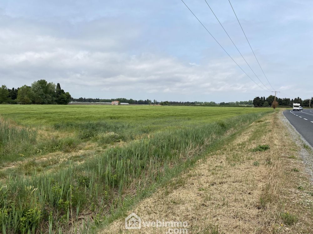 Photo 2 - Argelès-sur-Mer 66700 à Argelès-sur-Mer