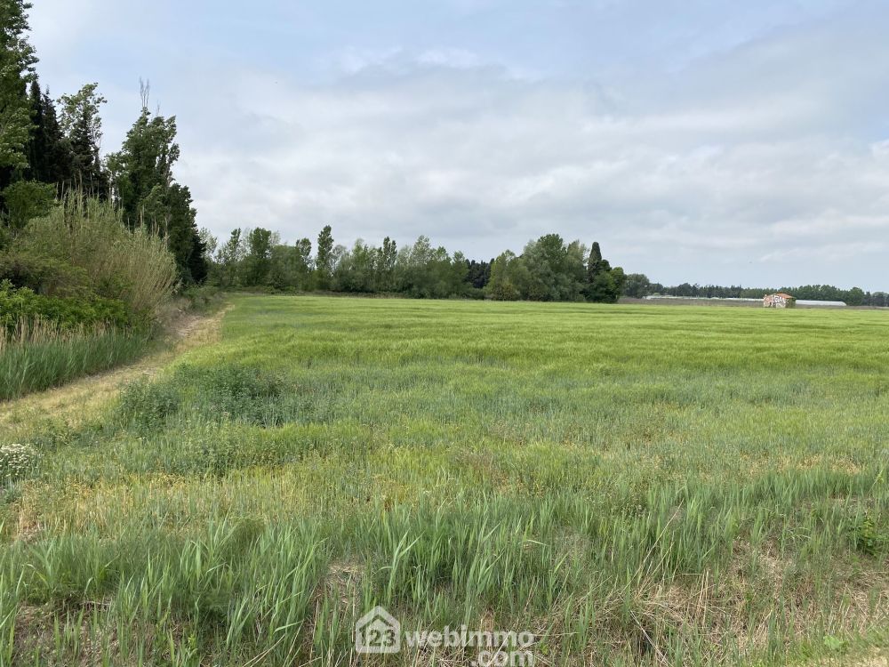 Photo 3 - Argelès-sur-Mer 66700 à Argelès-sur-Mer