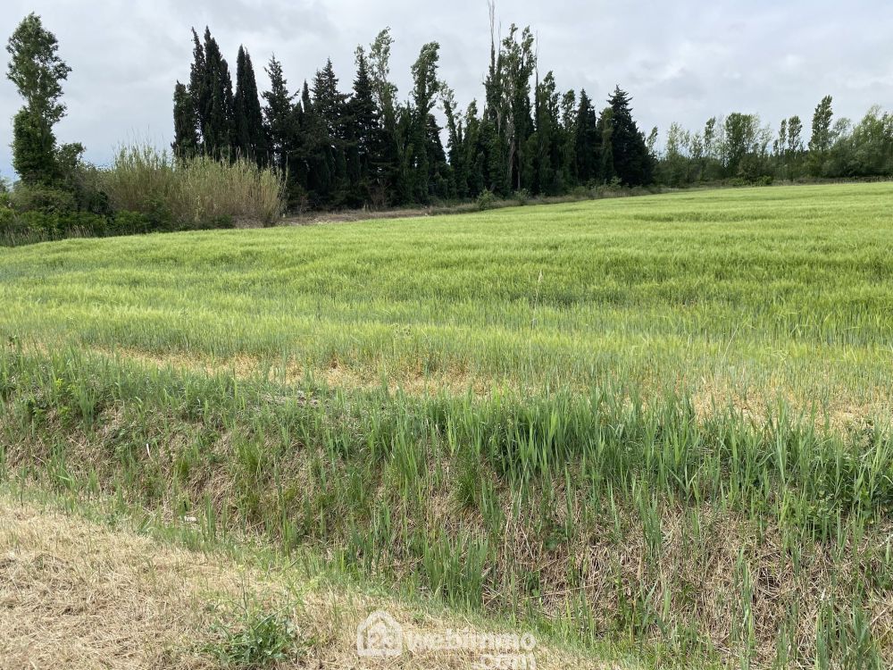 Photo 4 - Argelès-sur-Mer 66700 à Argelès-sur-Mer