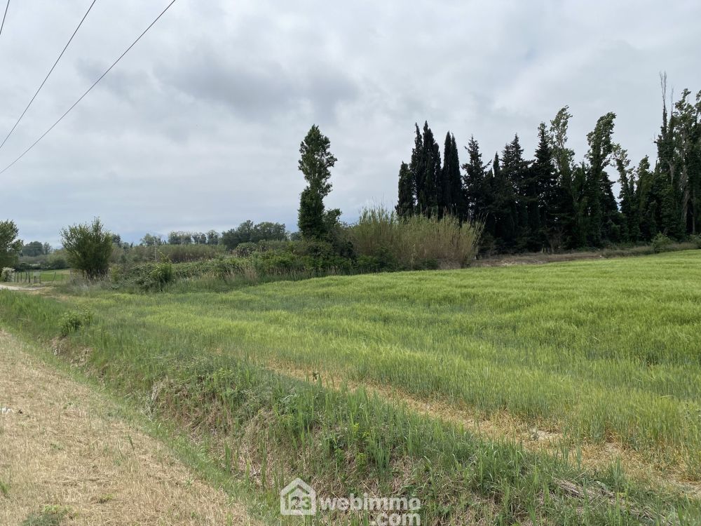 Photo 5 - Argelès-sur-Mer 66700 à Argelès-sur-Mer