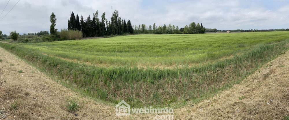 Photo 6 - Argelès-sur-Mer 66700 à Argelès-sur-Mer