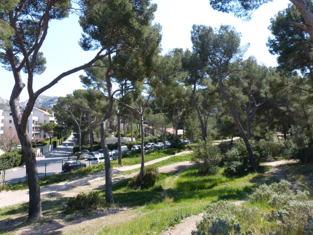 Photo 15 - Marseille 9e Arrondissement 13009 à Marseille 9e Arrondissement